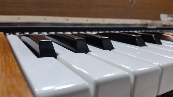 Clavinet d6 Keys Closeup