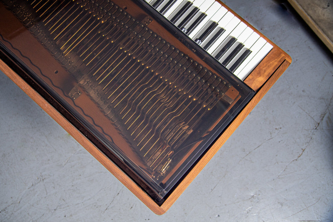 Walnut + Plexi Rhodes Stage 73