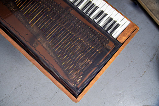Walnut + Plexi Rhodes Stage 73