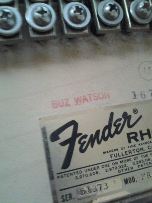 What's all the 'Buz' About?