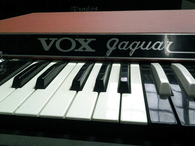 A Rare Breed Indeed: The Vox Jaguar