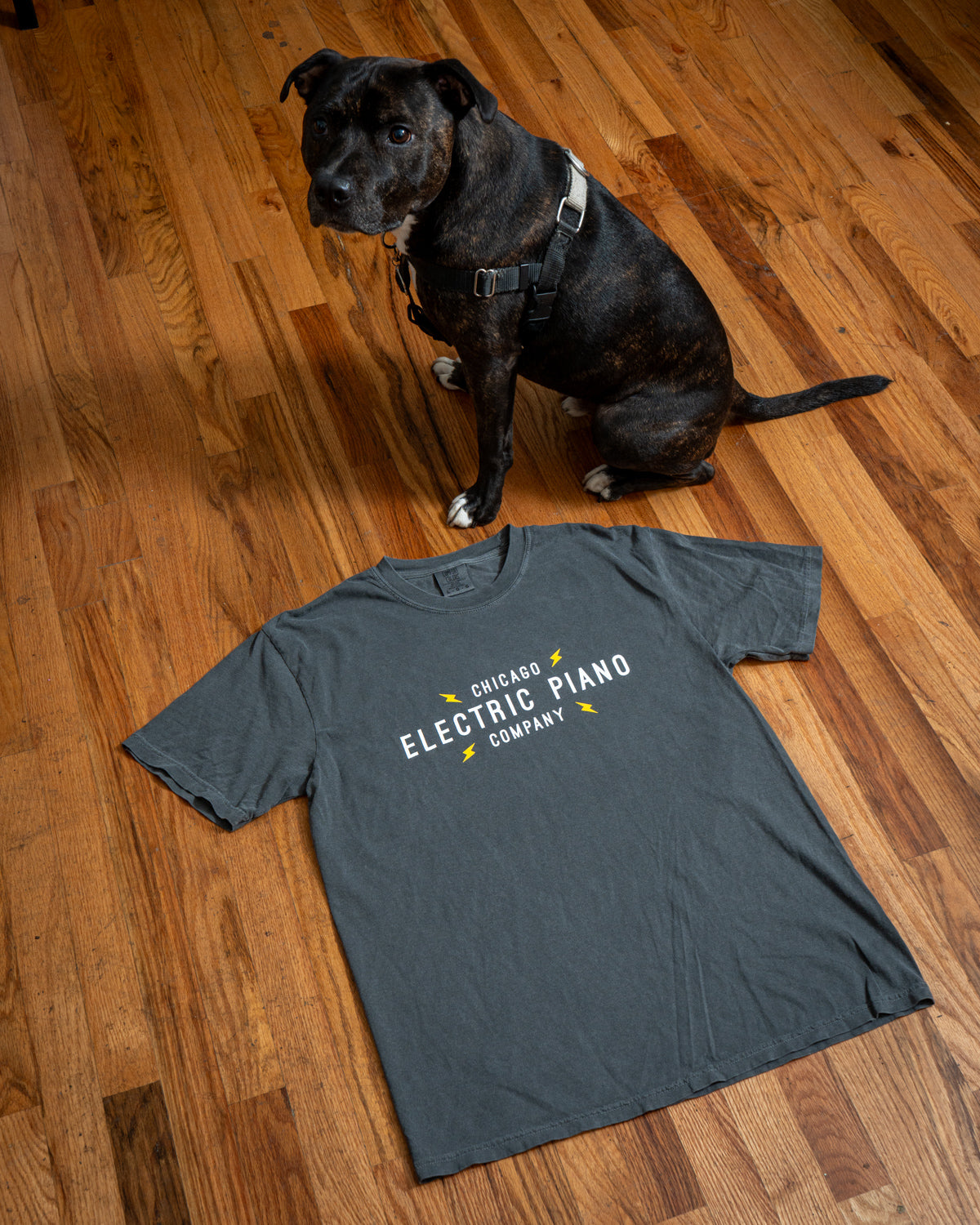 Chicago Electric Piano Classic Logo T-Shirt