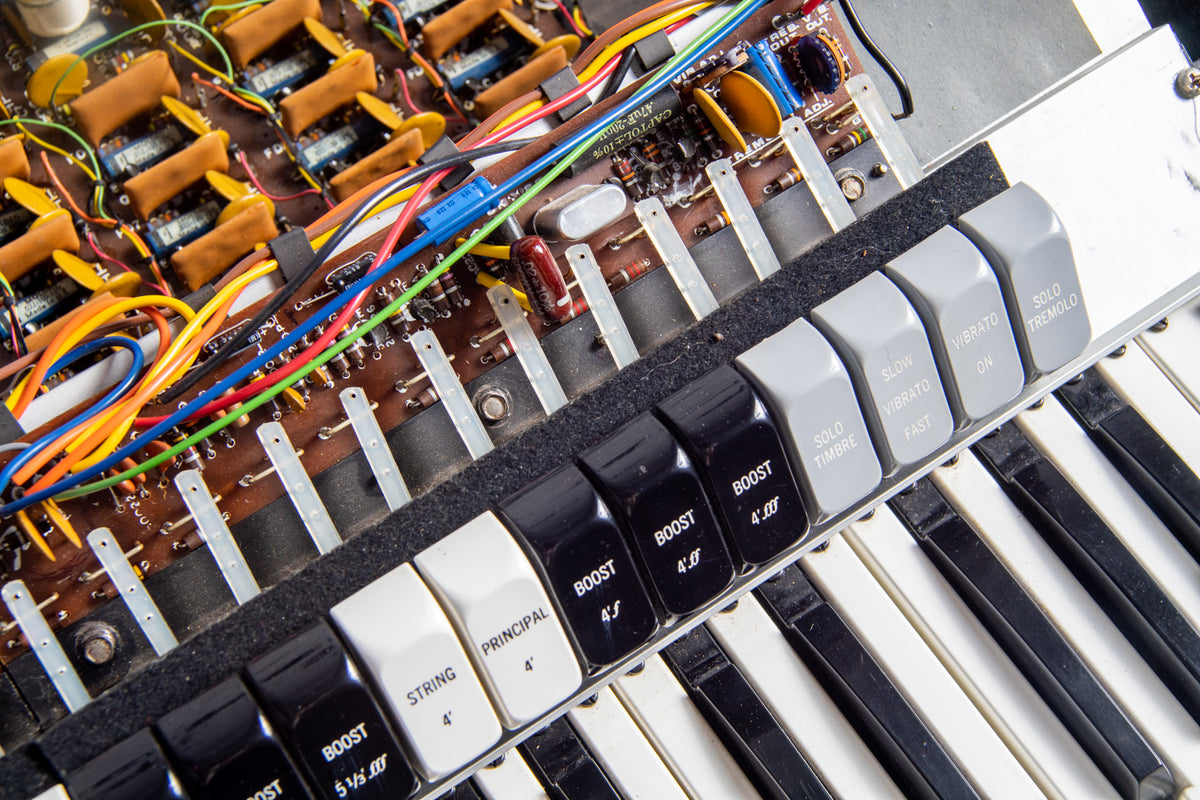 Fender Contempo Organ