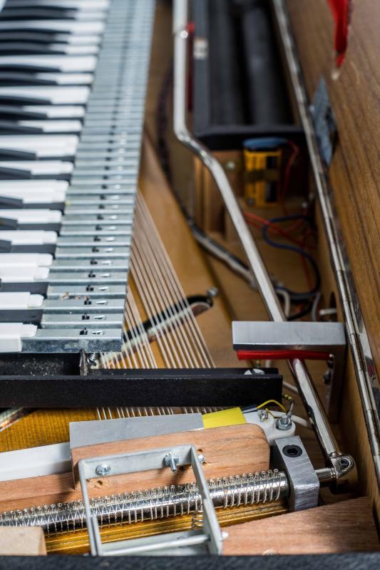 The Whammy The Chicago Electric Piano Co.
